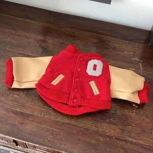 Doggie Ohio State Buckeyes Teddy Bear Snap Varsity Jacket (great for a tiny dog)